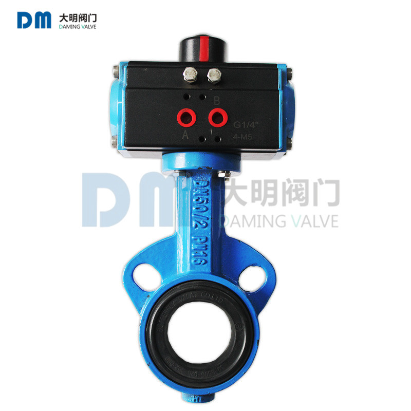 (dng)y